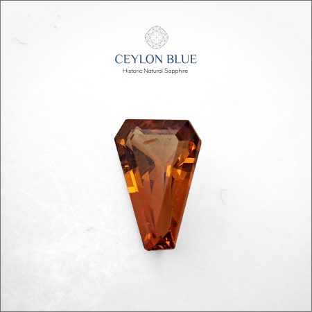 Orange Spersastite Garnet 0.73ct Fancy Shape - CB 0018