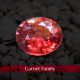 Garnet