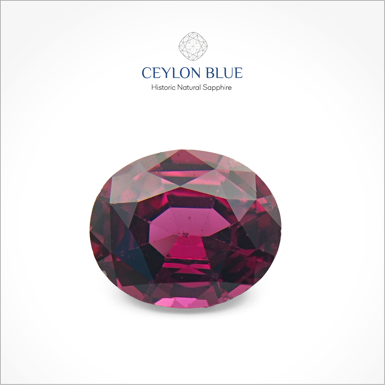 Rhodolite Garnet Oval Shape- CB 0084 Ceylon Blue Sapphires