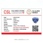 Blue Sapphire Gemstone Unheated Trillion Shape 2p30 CB 0257 - Image 3