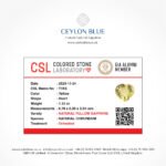 Yellow Sapphire 1.12ct Heart Shape - CB 0162 - Image 3