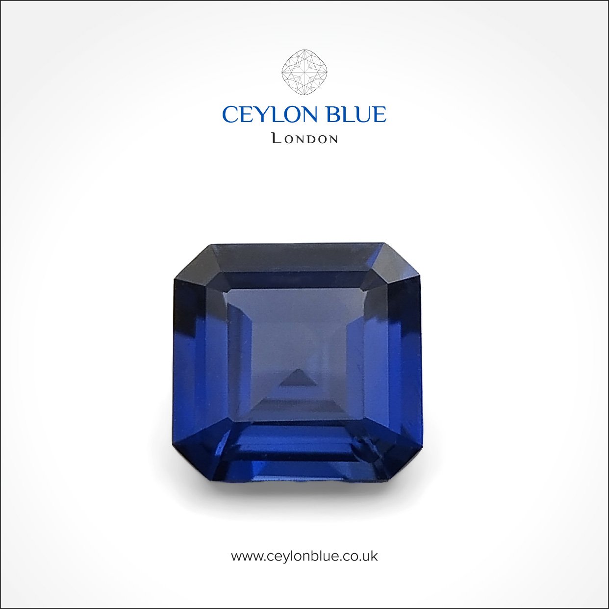Ceylon-Blue-Sapphire-Royal-Blue-Octagon-Unheated-0p60-Ceylon-Blue-01 Ceylon Blue Sapphire - Royal Blue 0.60ct Octagon Shape - CB 0001 - Image 1