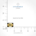 Natural Unheated Yellow Sapphire – 1.98ct Oval Cut Loose Gemstone (CB 0333) - Image 5