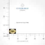 Natural Unheated Yellow Sapphire – 1.50ct Oval Cut Loose Gemstone (CB 0332) - Image 4