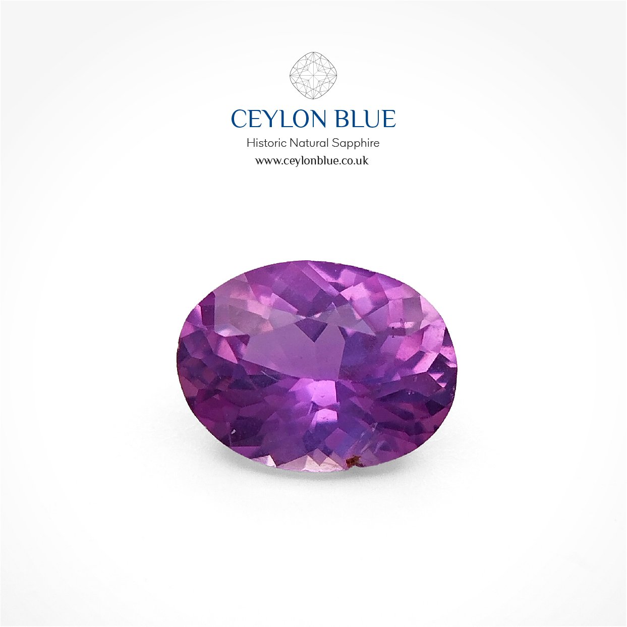CB 0143-Pink-Sapphire-Oval-0p60-Ceylon-Blue-Sapphires-1 Pink Sapphire 0.60ct Oval Shape - CB 0143 - Image 1