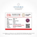 Pinkish Purple Sapphire 1.30ct Round Shape - CB 0167 - Image 3